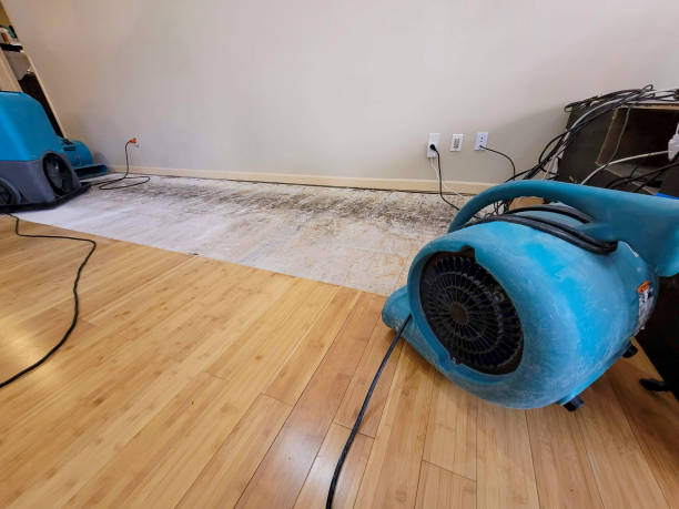 Professional Water Removal technician working in Silverdale, WA